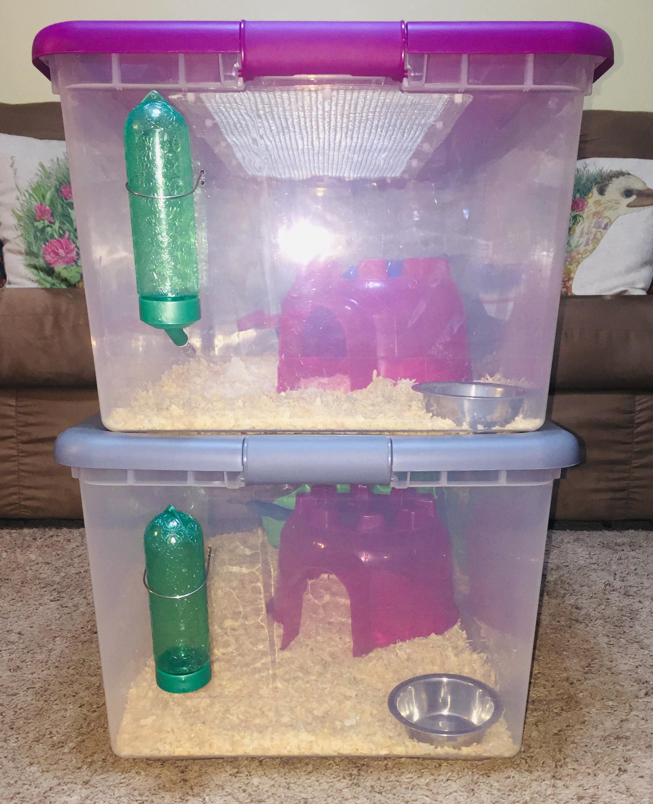 Hedgehog supplies for sale.Briar Patch Hedgehogs