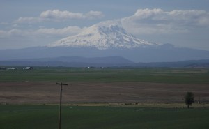 goldendale another mountain view